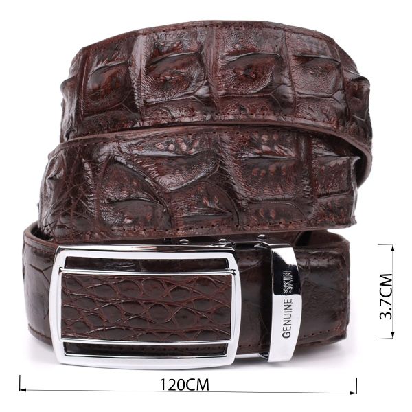 Ремень-автомат CROCODILE LEATHER 18235 из натуральной кожи крокодила (каймана) Коричневый
