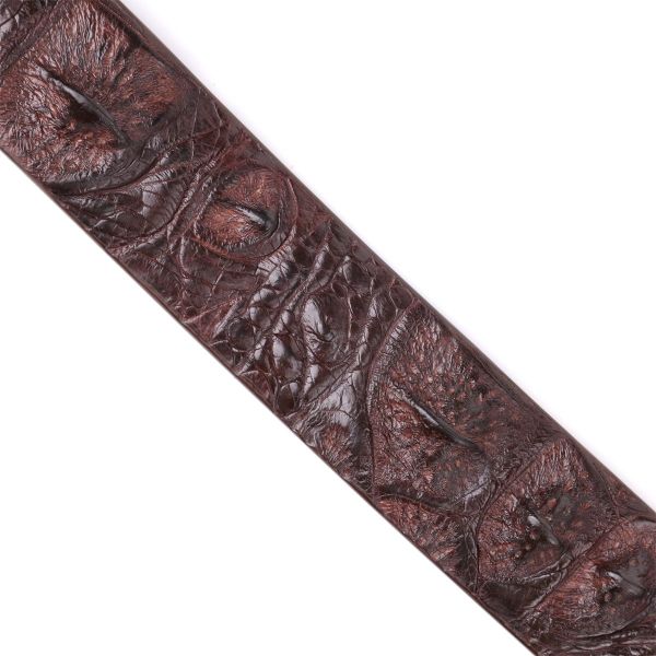 Ремень мужской CROCODILE LEATHER 18178 из натуральной кожи крокодила Коричневый