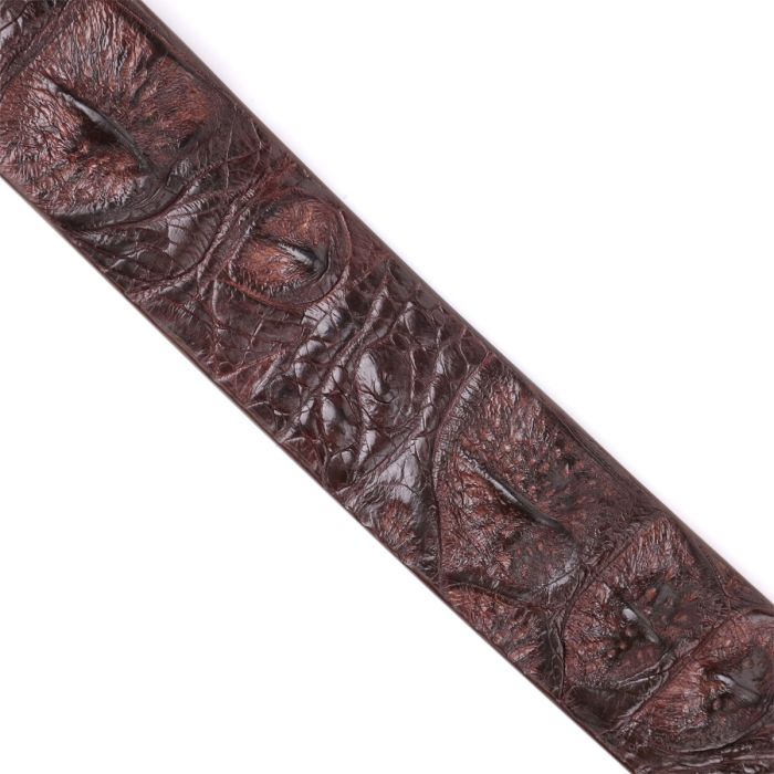 Ремень мужской CROCODILE LEATHER 18178 из натуральной кожи крокодила Коричневый