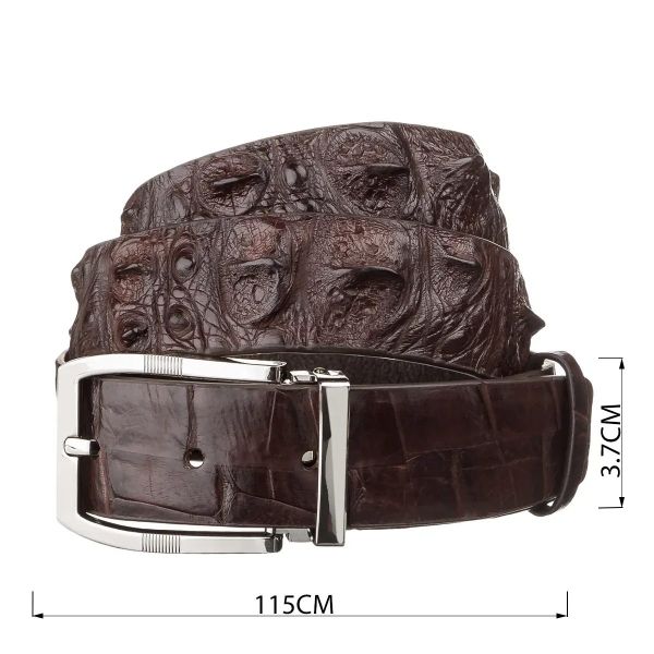 Ремень мужской CROCODILE LEATHER 18178 из натуральной кожи крокодила Коричневый